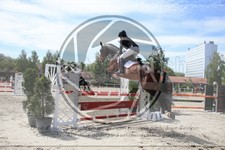 ref. photo 3611000