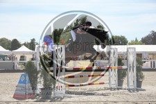 ref. photo 3611017