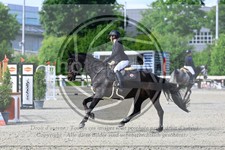 ref. photo 3611022