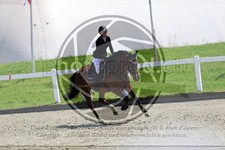 ref. photo 3611042