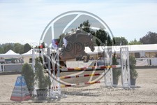 ref. photo 3611044