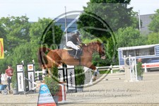 ref. photo 3611048