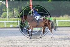 ref. photo 3611068