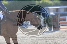 ref. photo 3611073