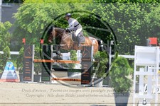 ref. photo 3611081