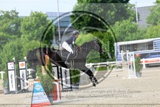 ref. photo 3611108