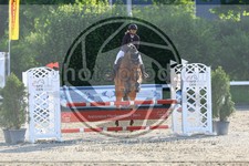 ref. photo 3611134