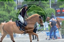 ref. photo 3611148