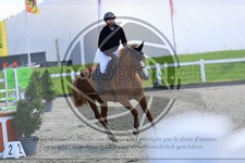 ref. photo 3611149