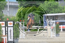 ref. photo 3611155