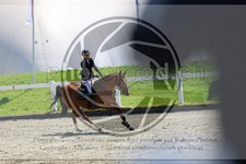 ref. photo 3611168