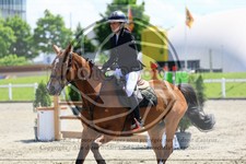 ref. photo 3611169