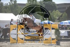 ref. photo 3611172