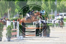 ref. photo 3611174