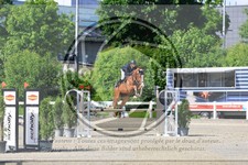 ref. photo 3611178