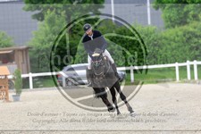 ref. photo 3611184