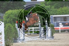 ref. photo 3611189