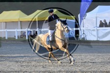 ref. photo 3611194