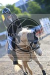 ref. photo 3611201