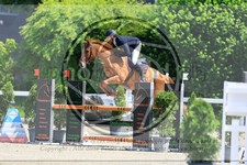 ref. photo 3611209