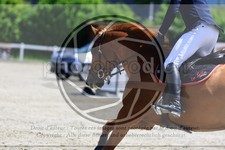 ref. photo 3611211