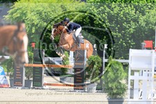 ref. photo 3611223