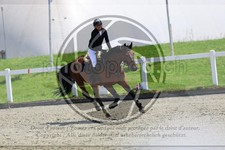 ref. photo 3611234