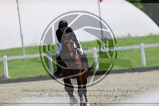 ref. photo 3611235