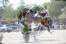 ref. photo 3611244
