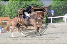 ref. photo 3611251