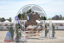 ref. photo 3611272
