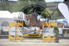 ref. photo 3611273