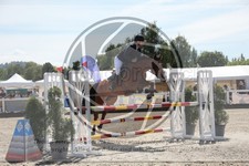 ref. photo 3611278