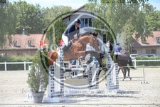 ref. photo 3611280