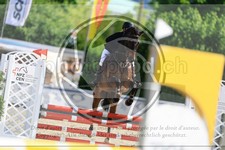 ref. photo 3611296
