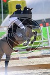 ref. photo 3611297