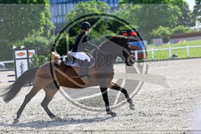 ref. photo 3611301