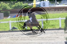 ref. photo 3611304