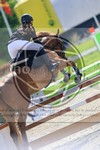 ref. photo 3611316