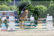 ref. photo 3611319