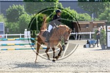 ref. photo 3611320