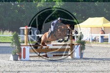 ref. photo 3611322