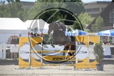 ref. photo 3611337