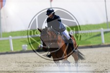 ref. photo 3611356