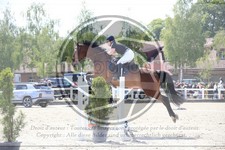 ref. photo 3611365