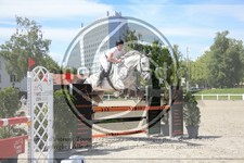 ref. photo 3611368