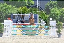 ref. photo 3611372