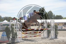ref. photo 3611386