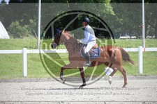 ref. photo 3611391