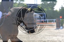 ref. photo 3611398
